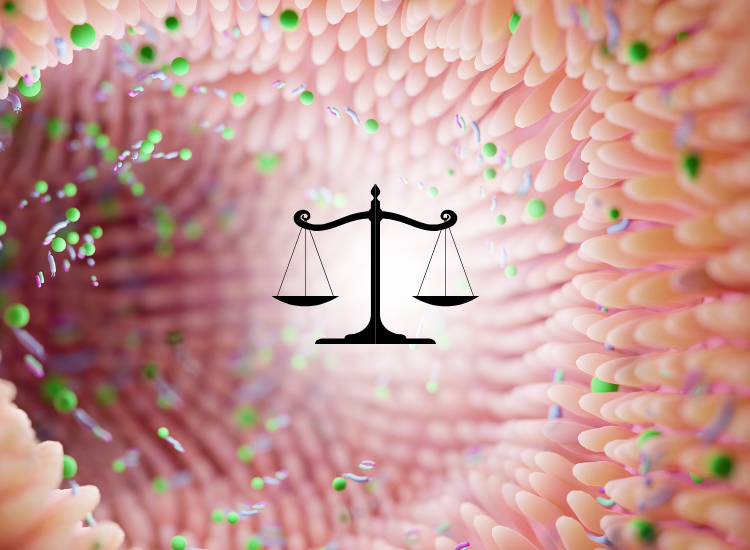 Lactobacillus gasseri BIO